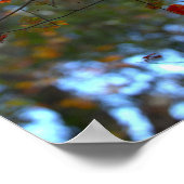 Colorful Leaves Poster (Hoek)