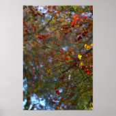 Colorful Leaves Poster (Voorkant)