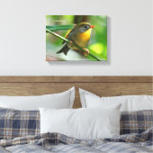 Colorful Leiothrix / Pekin Robin Songbird Canvas Afdruk (Insitu (Slaapkamer))
