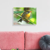 Colorful Leiothrix / Pekin Robin Songbird Canvas Afdruk (Insitu (Woonkamer))