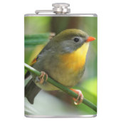 Colorful Leiothrix / Pekin Robin Songbird Heupfles (Voorkant)