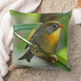 Colorful Leiothrix Pekin Robin Songbird Kussen
