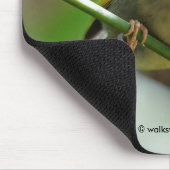 Colorful Leiothrix / Pekin Robin Songbird Muismat (Hoek)