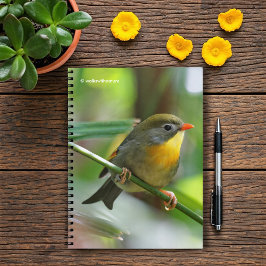 Colorful Leiothrix / Pekin Robin Songbird Notitieboek