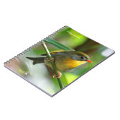 Colorful Leiothrix / Pekin Robin Songbird Notitieboek (Linkerzijde)