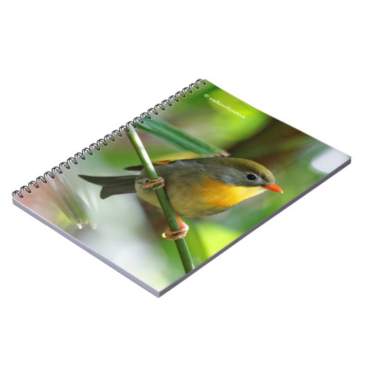 Colorful Leiothrix / Pekin Robin Songbird Notitieboek (Linkerzijde)