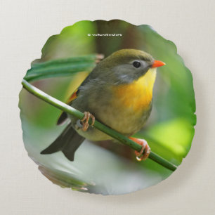 Colorful Leiothrix / Pekin Robin Songbird Rond Kussen
