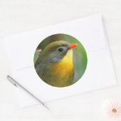 Colorful Leiothrix / Pekin Robin Songbird Ronde Sticker (Envelop)