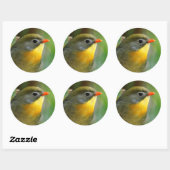 Colorful Leiothrix / Pekin Robin Songbird Ronde Sticker (Vel)