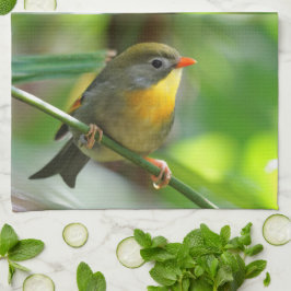 Colorful Leiothrix / Pekin Robin Songbird Theedoek