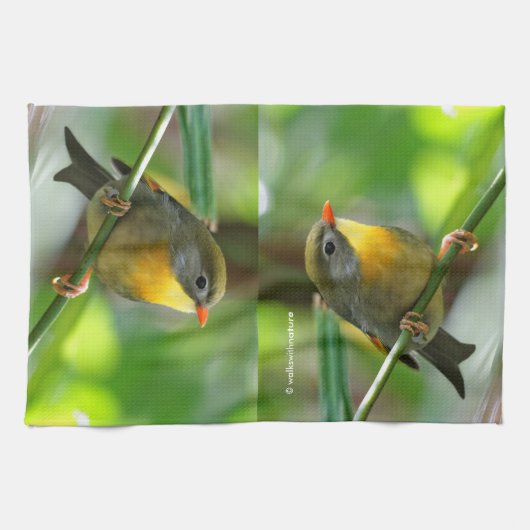 Colorful Leiothrix / Pekin Robin Songbird Theedoek (Horizontaal)