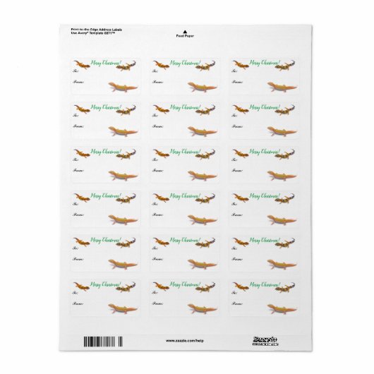 Colorful Leopard Gecko Lizard kerstcadeau Label (Full Sheet)