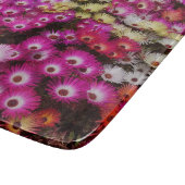 Colorful Livingstone Daisies Flowers Snijplank (Hoek)