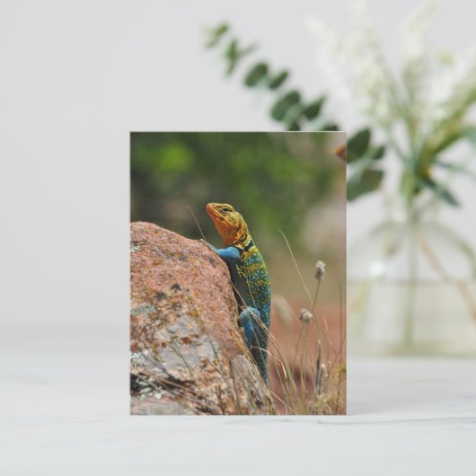 Colorful Lizard Briefkaart (Staand voorkant)