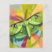 Colorful Luna Moth Painting Briefkaart (Voorkant)