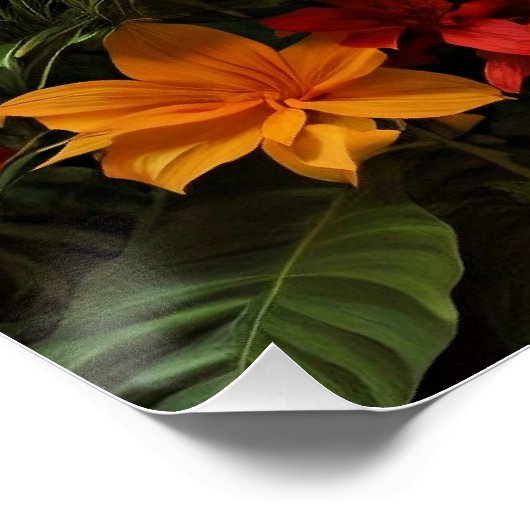 Colorful Macaw Bird Perfect Poster (Hoek)