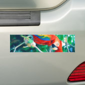 Colorful Macaw Bumpersticker (Op auto)