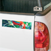 Colorful Macaw Bumpersticker (Op Truck)