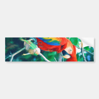 Colorful Macaw Bumpersticker