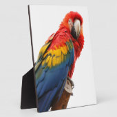 Colorful Macaw Chic Classy Mod Tropisch Fotoplaat (Zijkant)