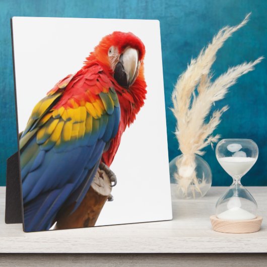 Colorful Macaw Chic Classy Mod Tropisch Fotoplaat (Zijkant)