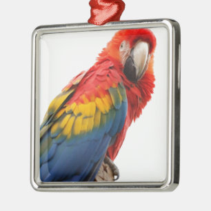 Colorful Macaw Chic Classy Mod Tropisch Metalen Ornament