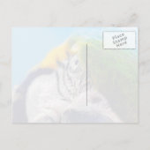 Colorful Macaw Face Briefkaart (Achterkant)