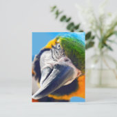 Colorful Macaw Face Briefkaart (Staand voorkant)