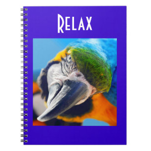 Colorful Macaw Notitieboek