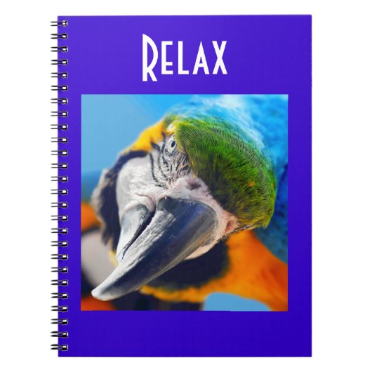 Colorful Macaw Notitieboek (Voorkant)
