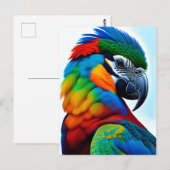 Colorful Macaw Parrot Bird Painting Briefkaart (Voorkant / Achterkant)