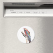 Colorful Macaw Parrot Waterverf Magneet (Insitu (Vaatwasser))