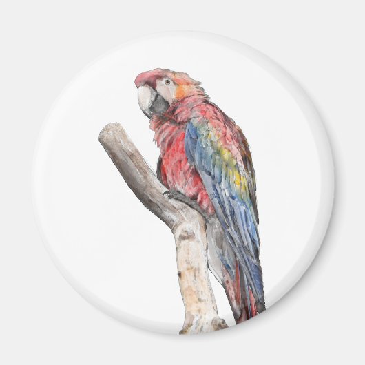 Colorful Macaw Parrot Waterverf Magneet (Voorkant)