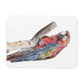 Colorful Macaw Parrot Waterverf Magneet (Horizontaal)