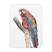Colorful Macaw Parrot Waterverf Magneet (Verticaal)