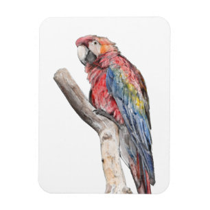 Colorful Macaw Parrot Waterverf Magneet