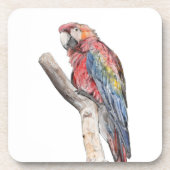 Colorful Macaw Parrot Waterverf Onderzetter (Voorkant)