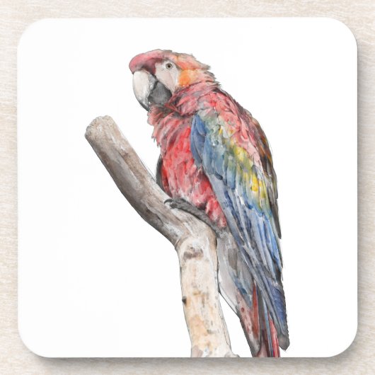 Colorful Macaw Parrot Waterverf Onderzetter (Voorkant)