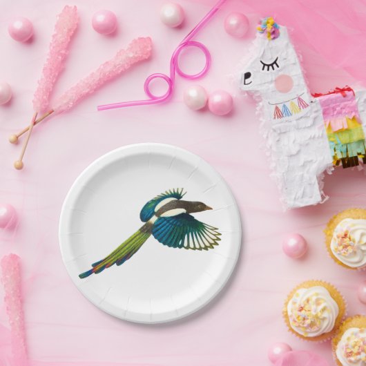 Colorful Magpie Bird,  illustratie Papieren Bordje (Feest)