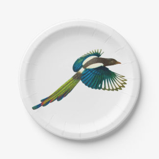 Colorful Magpie Bird, illustratie Papieren Bordje