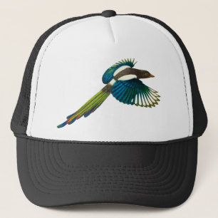 Colorful Magpie Bird,  illustratie Trucker Pet