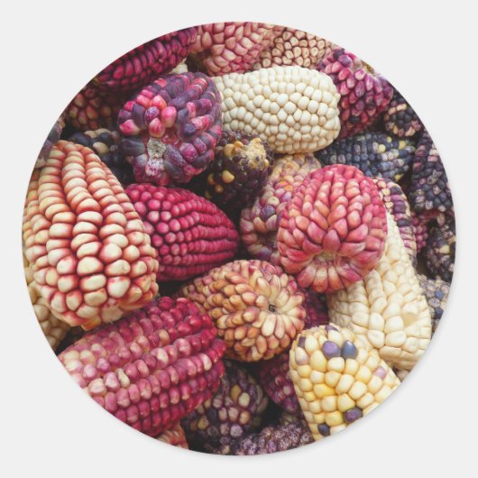 Colorful Maize-Stickers Ronde Sticker (Voorkant)
