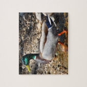 Colorful Male Mallard Duck Walking Legpuzzel (Verticaal)