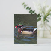Colorful Male Wood Duck - Aix sponssa Briefkaart (Staand voorkant)