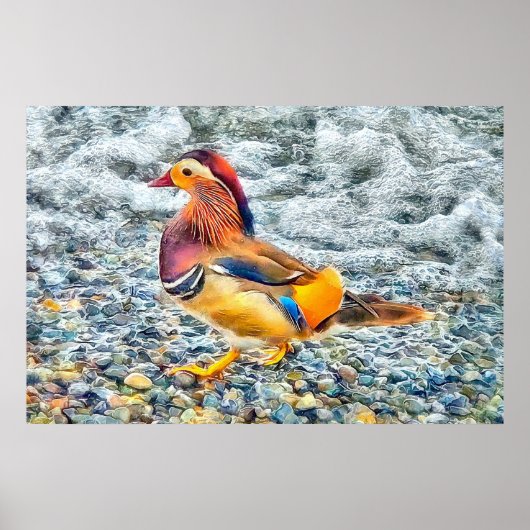 Colorful Mandarin Duck aan het meer Poster (Voorkant)