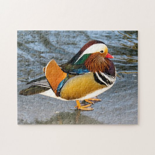 Colorful Mandarin Duck Photo Puzzle Legpuzzel (Horizontaal)