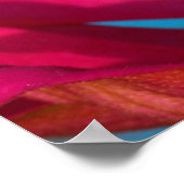 Colorful Mantis Poster (Hoek)