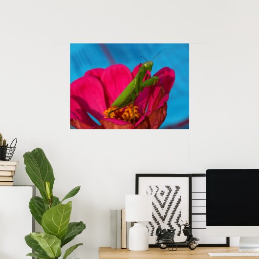 Colorful Mantis Poster (Thuiskantoor)