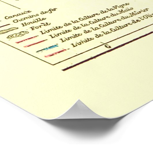 Colorful  Map of France Poster (Hoek)