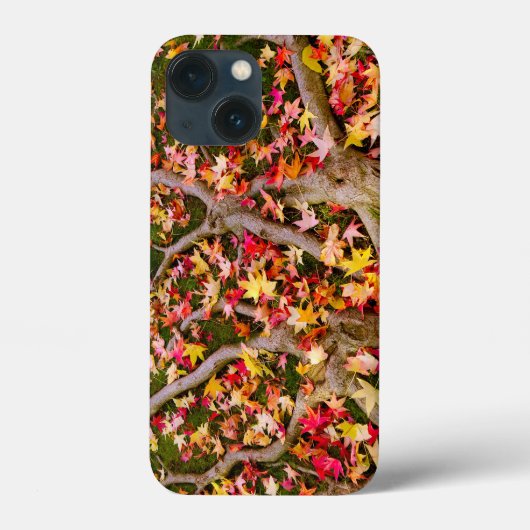 Colorful Maple Leaf Case-Mate iPhone Case (Achterkant)